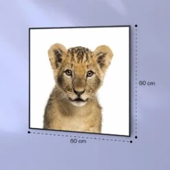 Wonderwall Air Art Smart Infrarotheizung Löwe 60x60cm 350W -Klarstein 10037833 yy 0007 logo